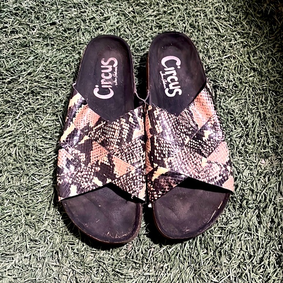 Circus by Sam Edelman Sandals - Picture 1 of 6